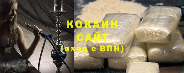 шишки Арсеньев