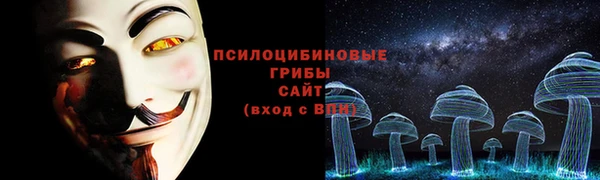 шишки Арсеньев