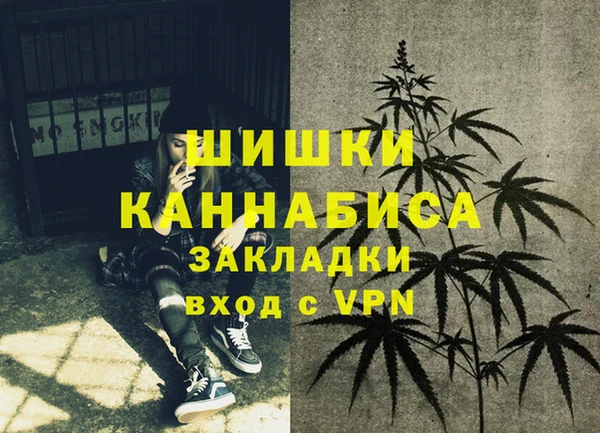 шишки Арсеньев