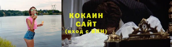 шишки Арсеньев