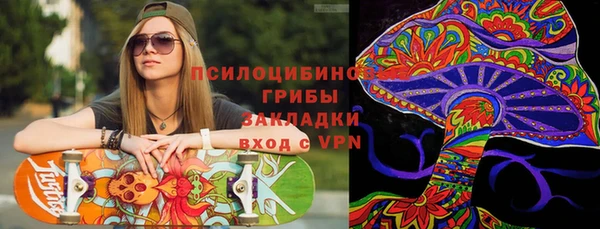 шишки Арсеньев