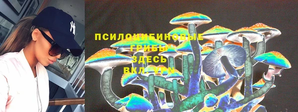 прущая мука Армянск