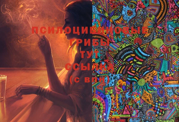 шишки Арсеньев
