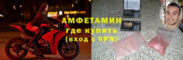 шишки Арсеньев