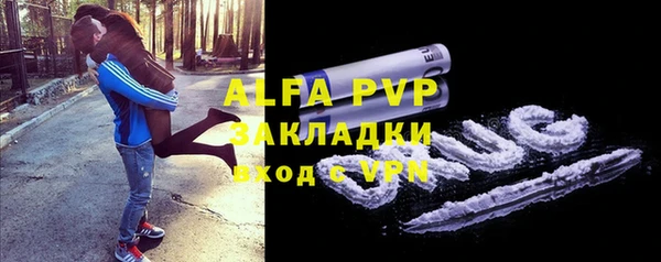 шишки Арсеньев