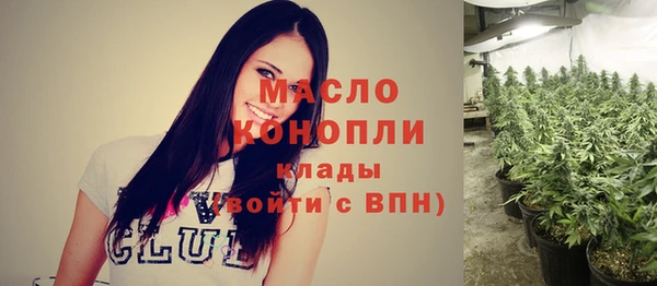 шишки Арсеньев